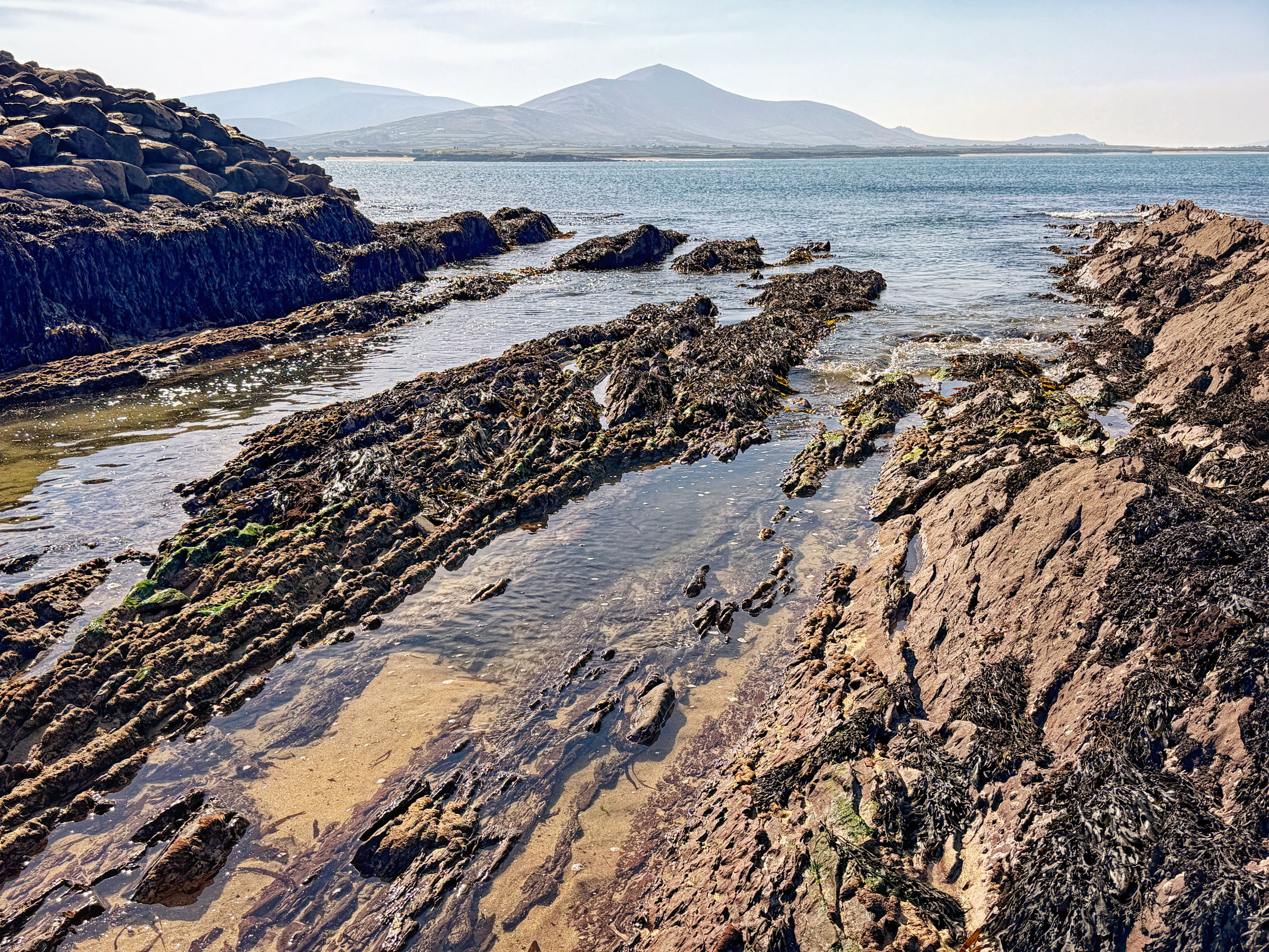Low tide rewards adventurers who seek it. Dooneen Pier looking west toward Smerwick, County Kerry