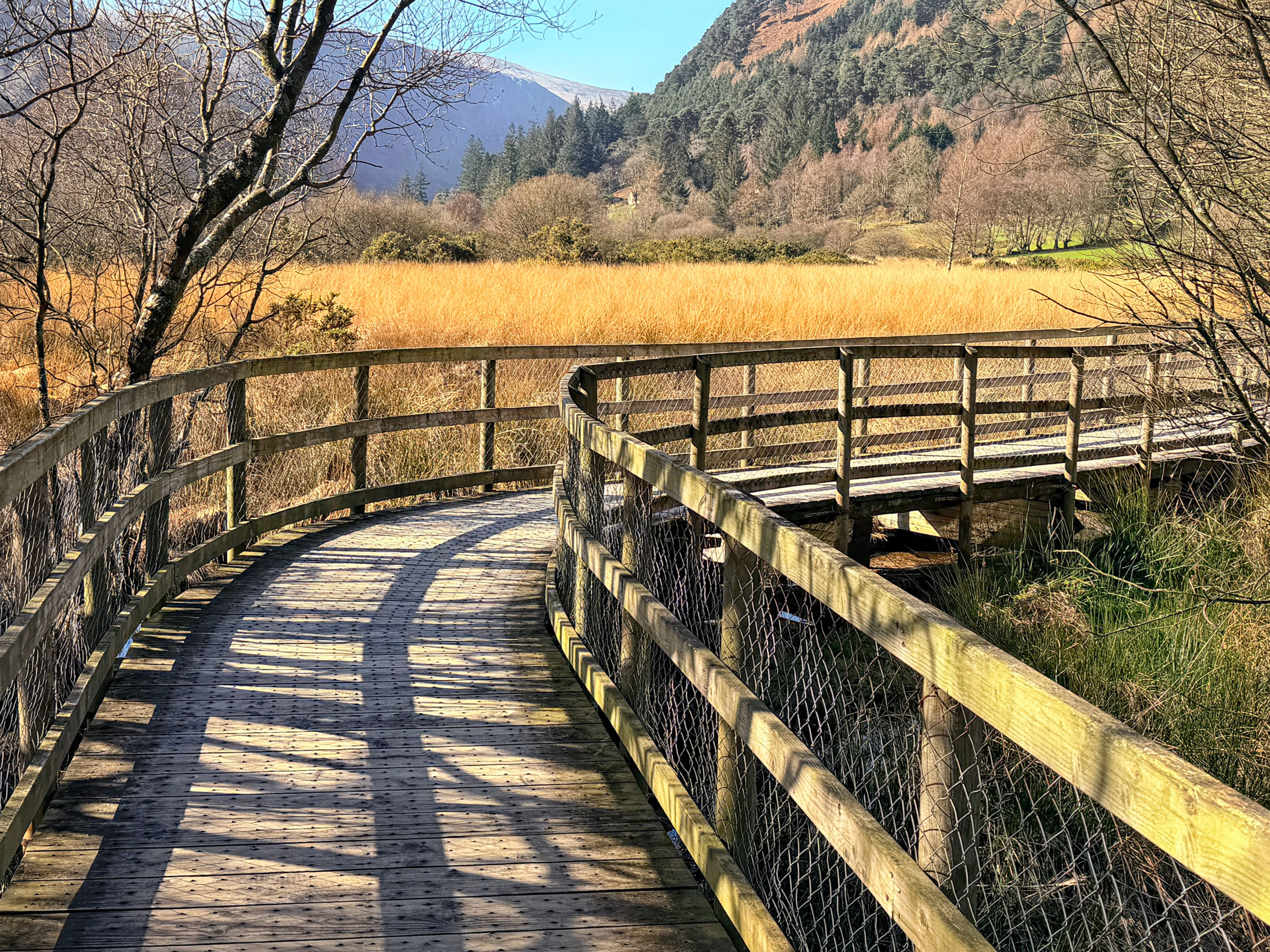 A poetic path through the Garden of Ireland. Green Walk boardwalk, Glendalough, County Wicklow