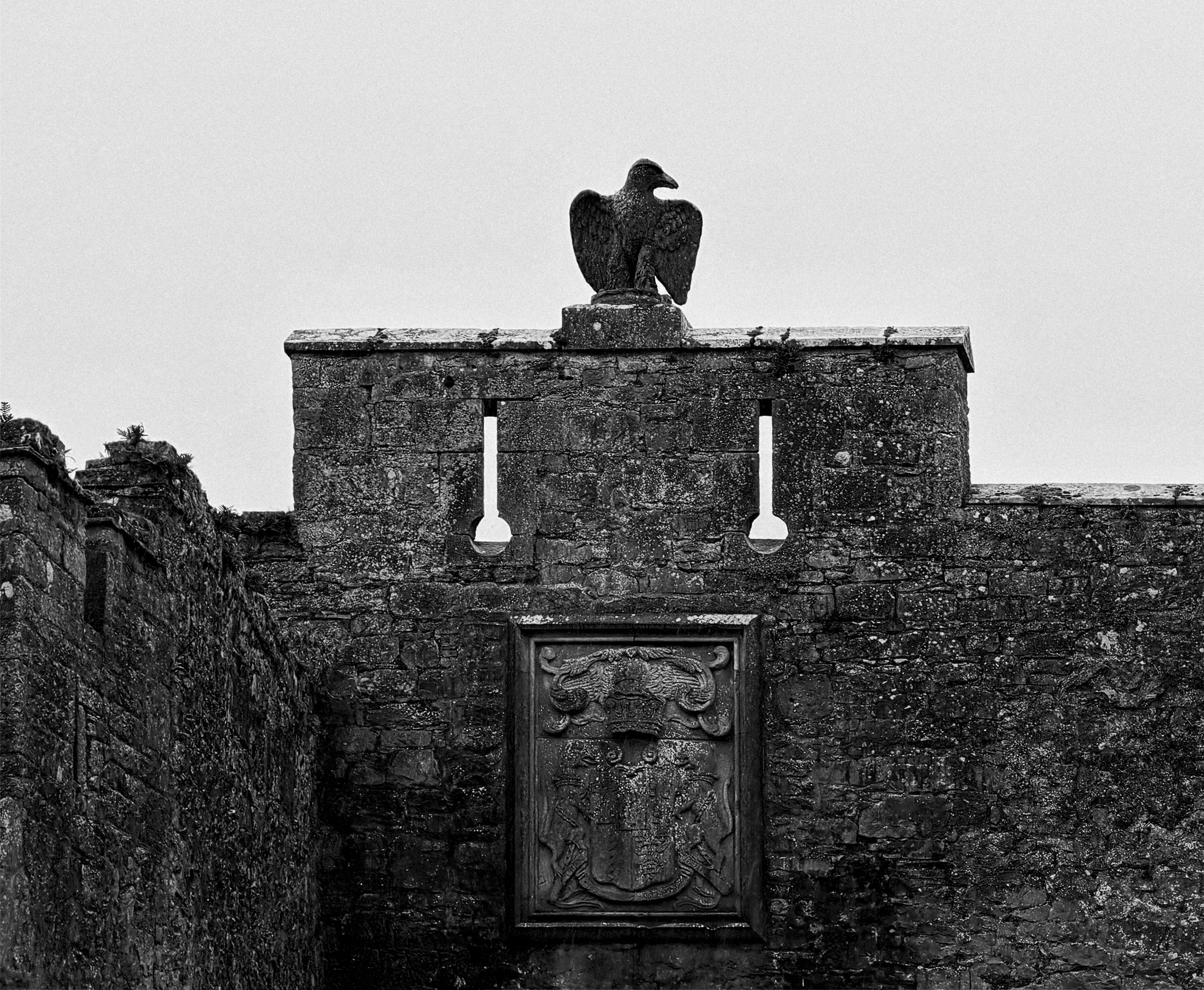 Butlers of Ormonde Eagle symbolizing majesty, authority and keen-eyed strength, Cahir Castle, Cahir, County Tipperary